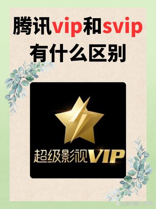 凤凰视频vip账号共享（凤凰视频能赚钱吗）