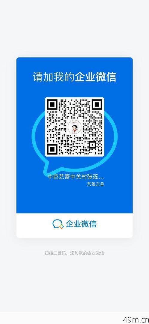 觅澜验证码是干嘛的？一个网络爱好者的深度体验分享