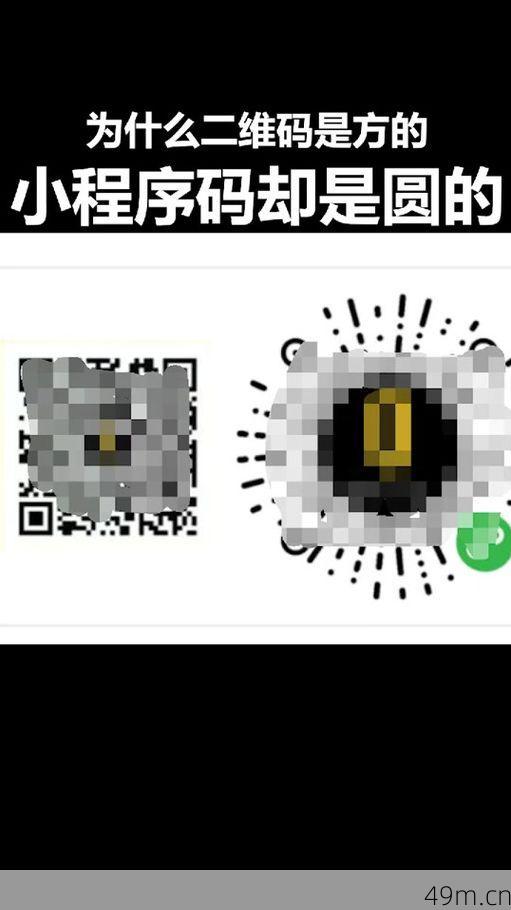 圆形验证码怎么填写?让我这个老网民来手把手教你!