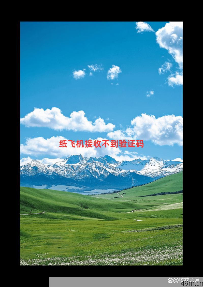 纸飞机注册为什么收不到验证码？我来帮你彻底解决！