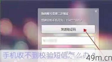 新手机号收不到短信验证码怎么办？一个老网虫的实战经验全分享