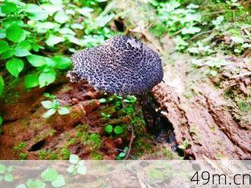 98堂最近有没有新活动?我亲自去探了探路,分享点实在干货